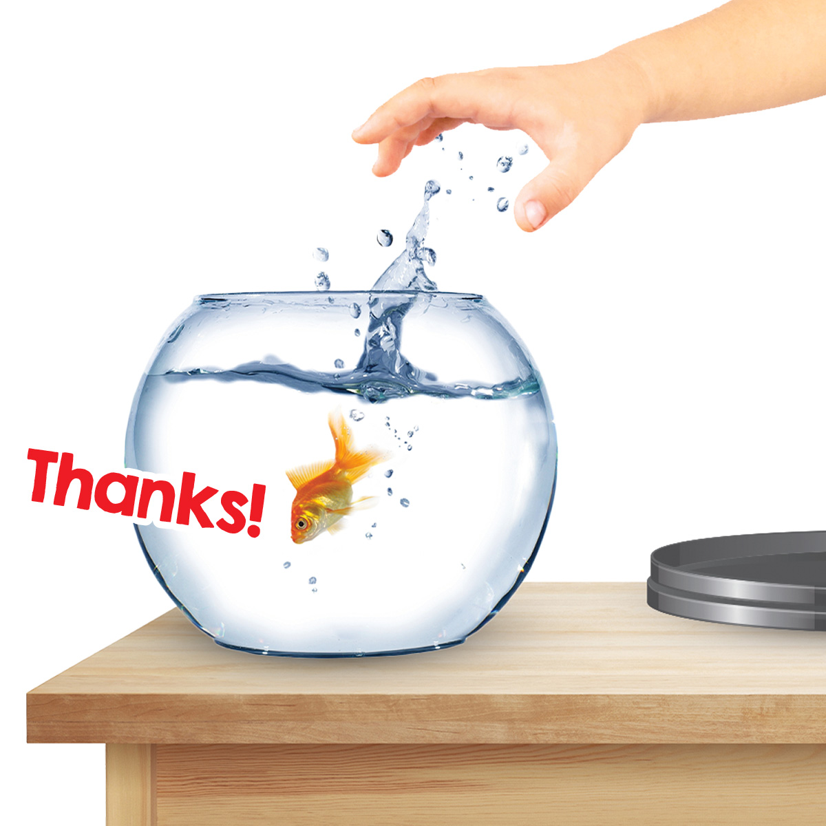 Image of a hand putting a fish back in its bowl and the fish saying, "Thanks"