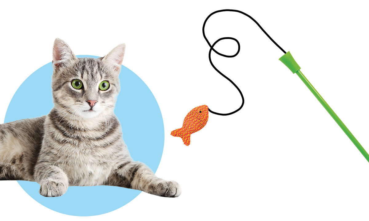 Image of a cat looking at a fish toy