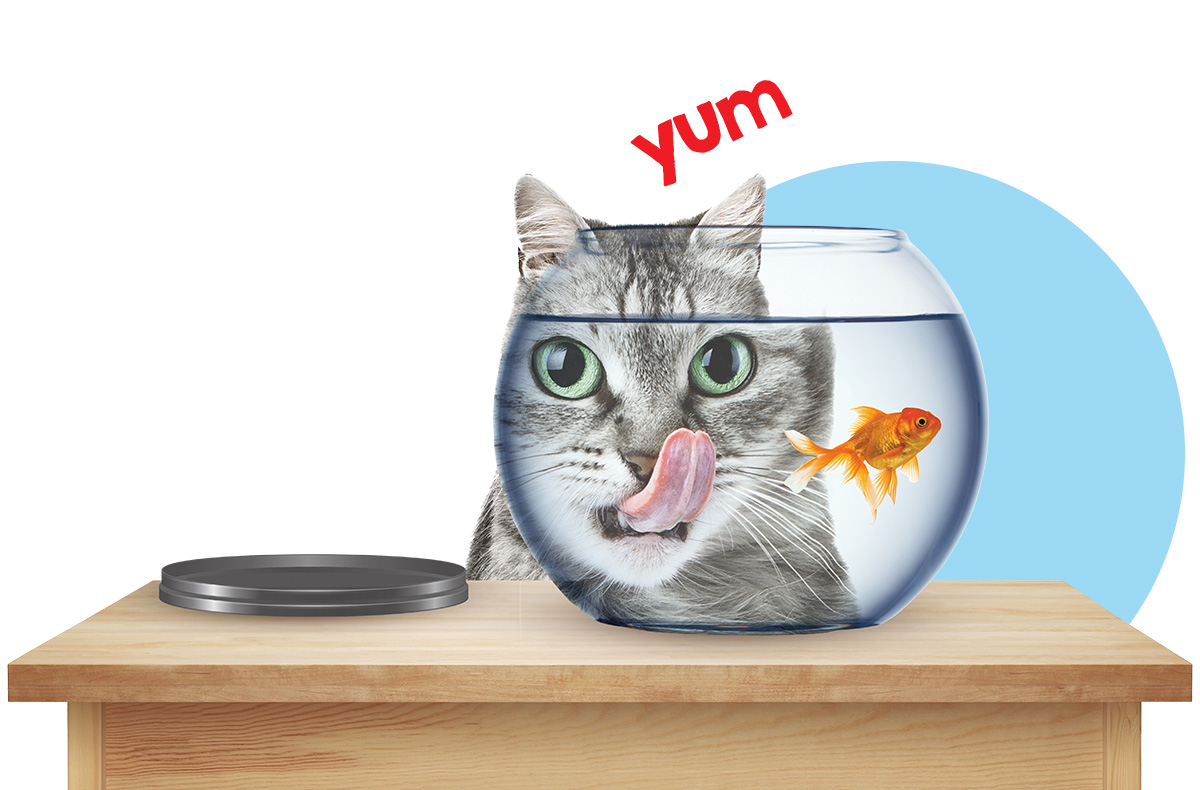 Image of a cat licking its lips and thinking YUM while staring at a fish in a bowl