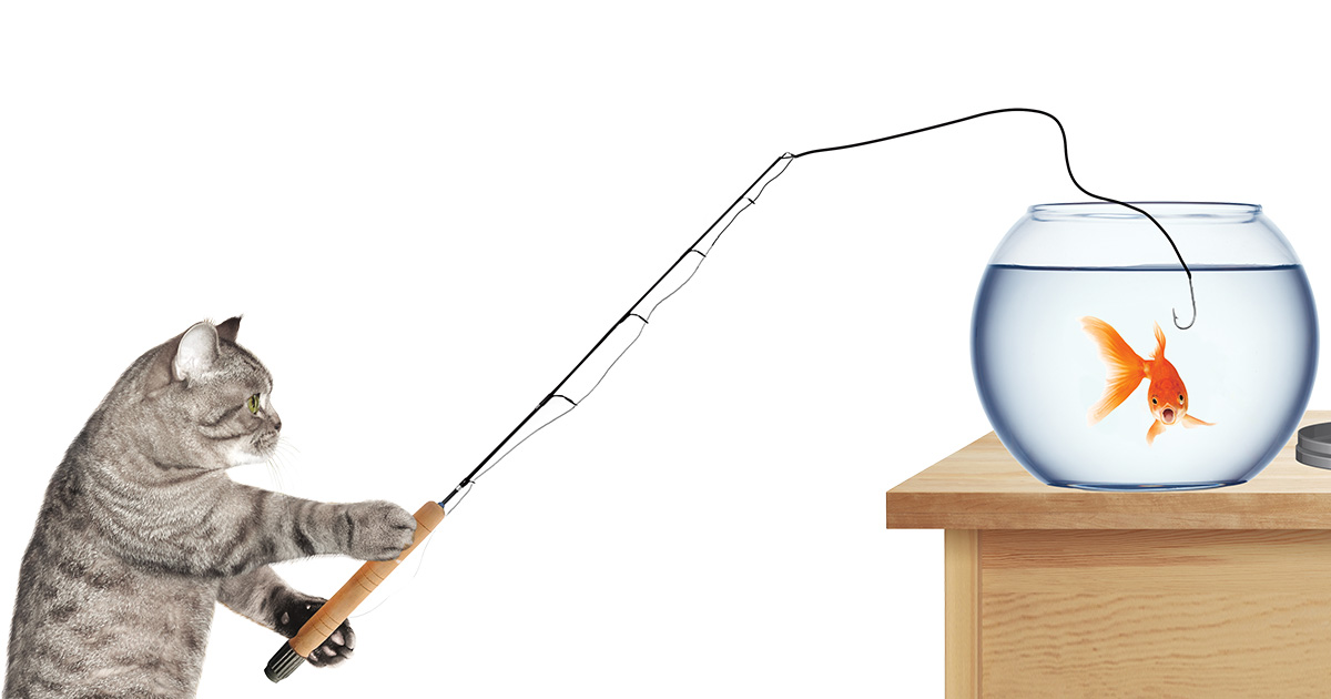 Image of a cat trying to catch a fish in its bowl