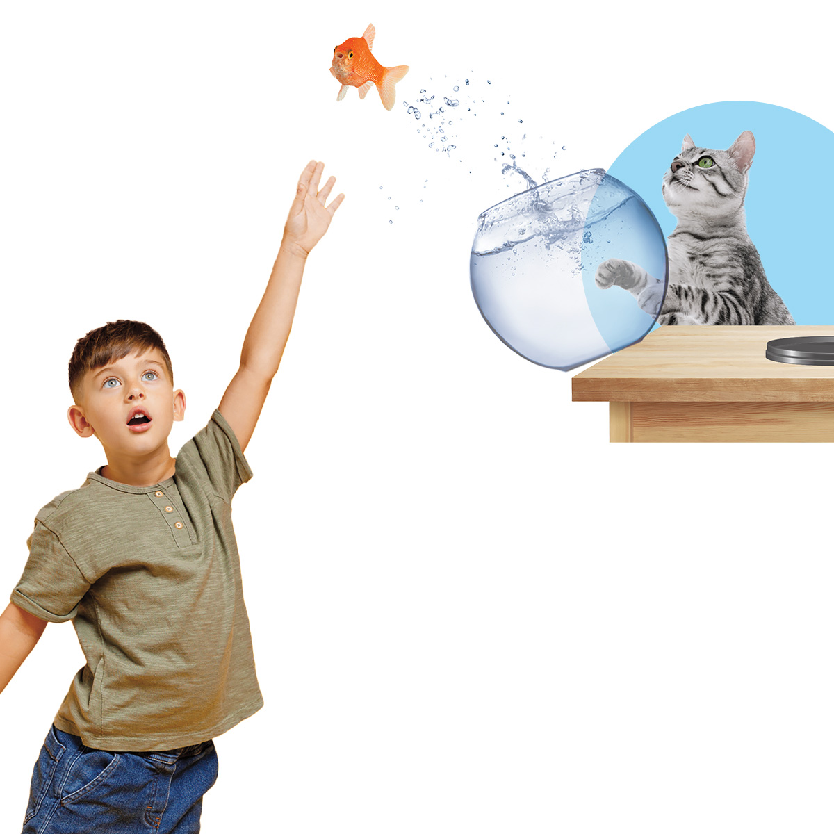 Image of a fish jumping out of its bowl to run from a cat